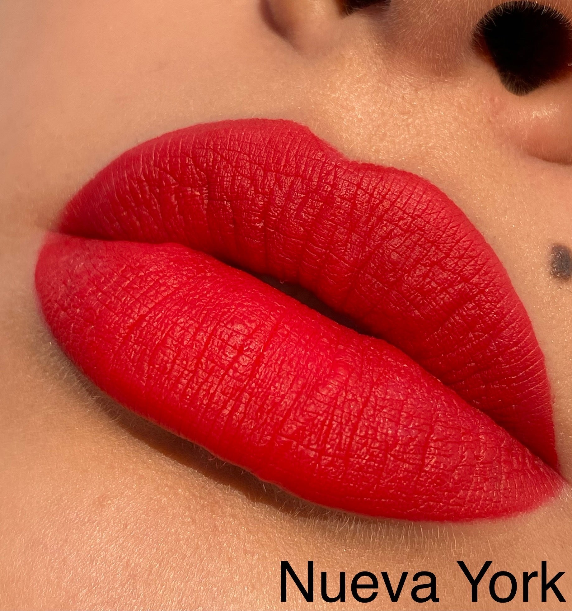 INDESTRUCTIBLE LIPSTICK ¡Tonos Rojos! Resistente y de larga duración para un look impecable