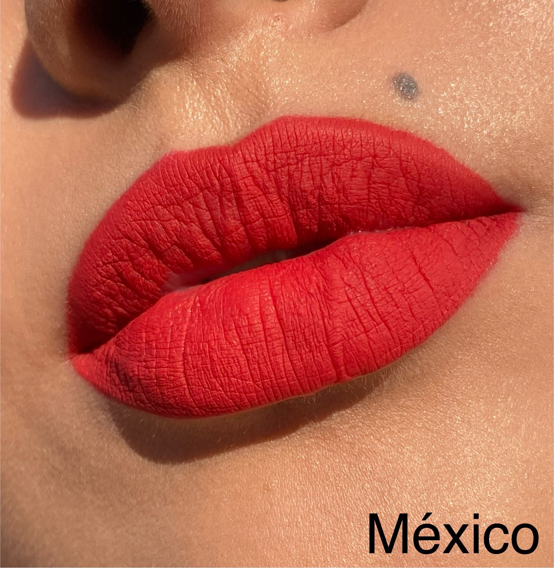 INDESTRUCTIBLE LIPSTICK ¡Tonos Rojos! Resistente y de larga duración para un look impecable