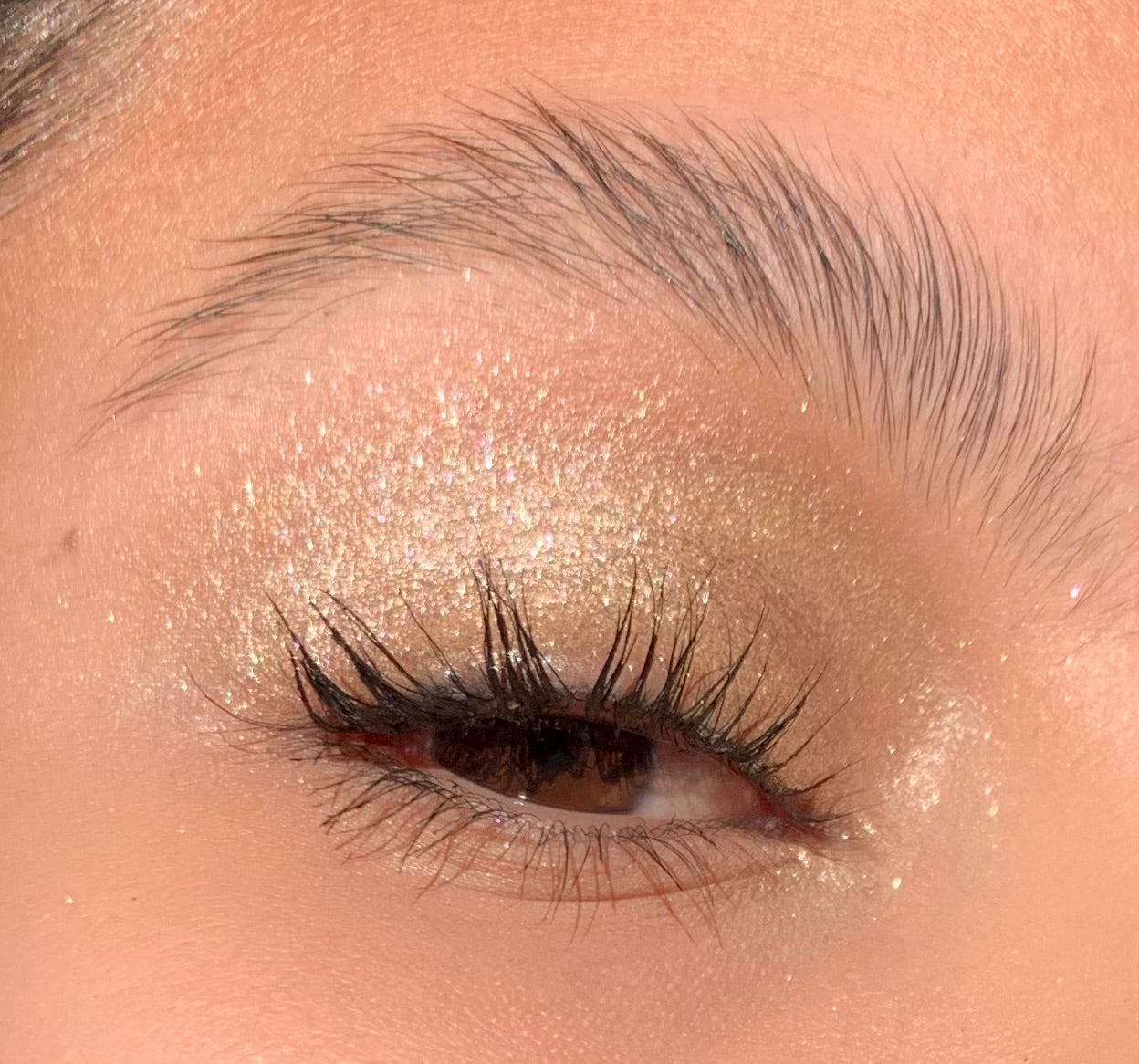 Sombra cromática individual BC4-01