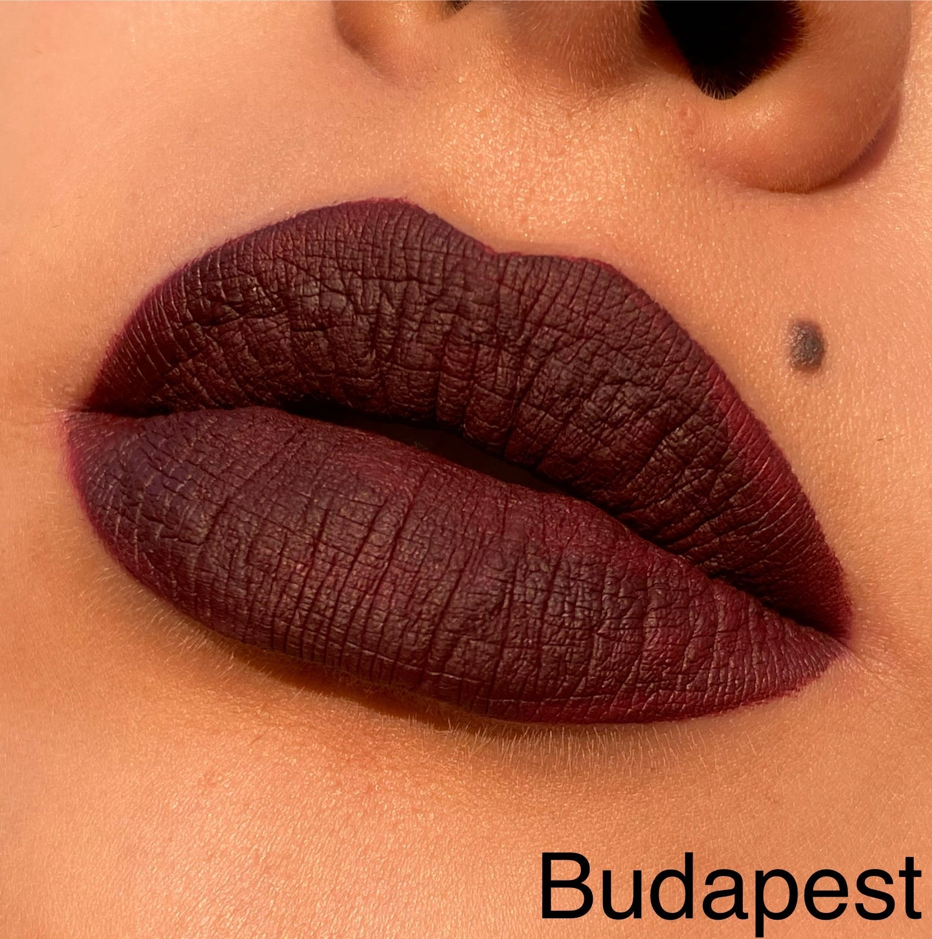 INDESTRUCTIBLE LIPSTICK ¡Tonos Rojos! Resistente y de larga duración para un look impecable