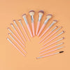 Set Rosa de  18 Brochas Profesionales